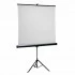 Apollo 70 Inch x 70 Inch Tripod Projector Screen