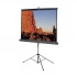 Apollo 96 Inch x Projector Screen