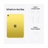 Apple iPad 11 Inch Apple Tablet Price in BD