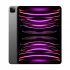 Apple iPad Pro (Late 2022) Apple Tablet PC