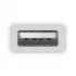 Apple Thunderbolt 3 (USB-C) Male to USB Female All Brands in BD
