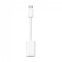 Apple Type-C Male to Lightning Female All Brands