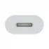 Apple Type-C Male to Lightning Female All Brands in BD
