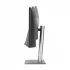 Asus ProArt Display PA34VCNV All Monitor Review