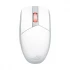 ASUS Asus ROG Strix Impact III Mouse