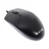 Aula AM104 Mouse