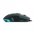 Aula F809 Mouse