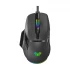 Aula F815 Mouse