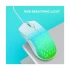 Aula S11Pro Wired White (Blue+Green) Gaming Mouse