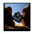 Baseus Storm 1 Earbuds Best Price