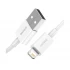 Baseus CALYS-A02 USB Male to Lightning USB Cable in BD