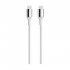 Belkin F2CU050bt04-SLV USB Type-C Male to USB Cable