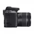 Canon EOS 250D Body with EF-S 18-55mm f/4-5.6 IS STM Lens (Black) (No Warranty)