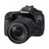 Canon EOS 80D Digital SLR Camera Body with EF-S 18-135mm USM Lens