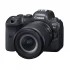 Canon EOS R6 Mirrorless Camera