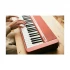 Casio CT-S1RD Musical Instrument Best Price