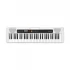 Casio CT-S200WE Musical Instrument