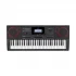 Casio CT-X9000IN Musical Instrument