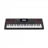 Casio CT-X9000IN Musical Instrument Price in Bangladesh