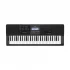 Casio Hi-Grade CT-X870IN Black Musical Touch Sensitive Standard Keyboard Piano with Adapter