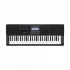 Casio Hi-Grade CT-X870IN Musical Instrument
