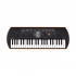 CASIO Casio SA-76 Musical Instrument