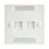 CommScope Commscope White Labeled Faceplate (2 Port) Network Accessories
