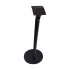 Ryans Compatible Stand Speaker
