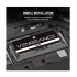 Corsair Vengeance 16GB All Brands