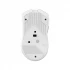 Dareu A918X Mouse Price in BD