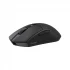 Dareu A950 Pro Mouse