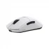 Dareu A950 Pro Mouse