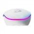 Dareu EM911X Mouse in BD