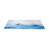Dareu ESP109 Speed Mouse Pad Price in BD