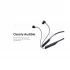 Dizo Wireless Dash Neckband Bluetooth Black Earphone