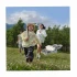 DJI Neo Drone Best Price