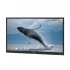 Epson EI-P6501 Digital Display in BD
