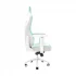 Fantech Alpha GC-283 Mint Edition Gaming Chair in BD