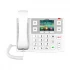 Fanvil X305 IP Phone Set