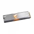 Gigabyte Aorus RGB Internal SSD