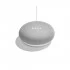 Google Home Mini All Brands