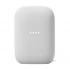 Google Nest Audio All Brands