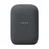 Google Nest Audio All Brands