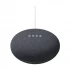 Google Nest Mini All Brands