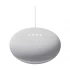 Google Nest Mini All Brands