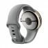 Google Pixel Watch 3 41mm (GPS) Champagne Gold Aluminum Case with Hazel Active Band