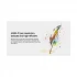 Huion H420 Professional Drawing Graphic Tablet & Signature Pad