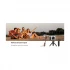 K&f Concept K&F MS-02 Compact Camera Accessories Best Price