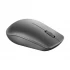 Lenovo 530 Graphite Wireless Mouse #GY50Z49089-3Y