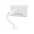 Lenovo Services AM210 GR Monitor Accessories in BD